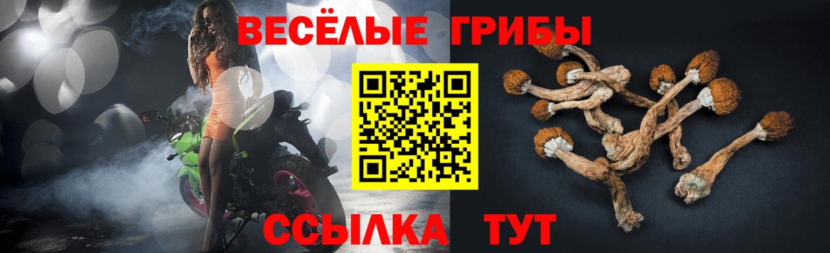 где можно купить наркотик  Псилоцибиновые грибы Magic Shrooms  Вход с VPN  Вятские Поляны  Галлюциногенные грибы Psilocybe 